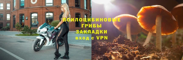 бошки Михайловск