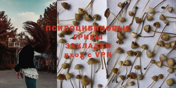 бошки Михайловск