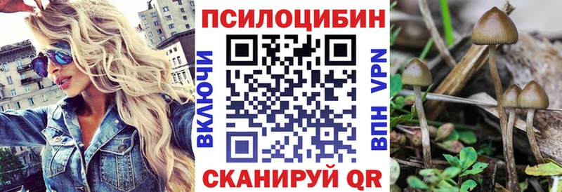 как найти   Оренбург  Галлюциногенные грибы мухоморы 