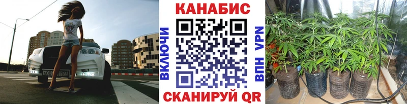 Бошки Шишки MAZAR купить наркотики сайты Оренбург